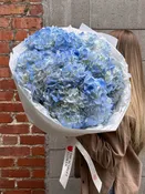 Bouquet - Blue Fluff - premium hydrangeas