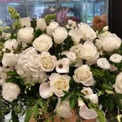 Premium Purity Full White Casket Cover
