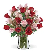18 Elegant Roses