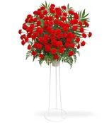 100 Red Carnation Standing Spray