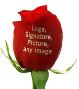 Flower Printing with a standard message | Talk ta Me Floral