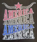 America Custom T-Shirt