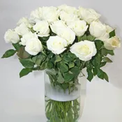 50 WHITE ROSES ARRANGED IN A VASE