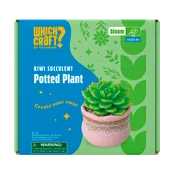 Which Craft Kiwi Succulent Potted Plant