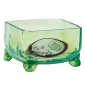 AKM Plantphibian Planter