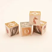 Uncle Goose Watercolor ABC blocks