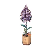 3D Wooden Puzzle Model Kit | Lilac
