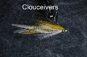 Clousceivers