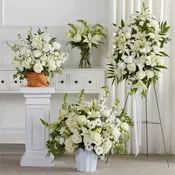 Sincerest Condolences Bundles Burial Focus (Set of 4)