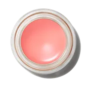 Pro Longwear Paint Pot - Art Thera-Peachy