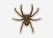 Amicreative Spider Dark Omens Vinyl Sticker