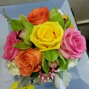 Happy Color
