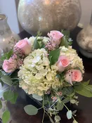 Mother's Day Special — The Exotic Green Garden
