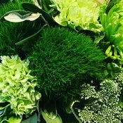 Designer's Choice in Green