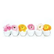 Caterpillar Bud Vase Glass - Small