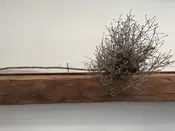 Natural Witches Brooms | Rustic & Witchy Décor from Maine | Gulf Of Maine, Inc.