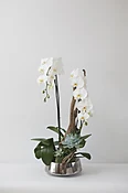 Double white — Casey's Flower Studio