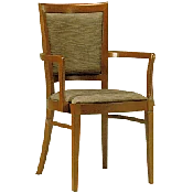 Berry Fully Upholstered Arm Chair