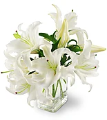 Peaceful Lilies
