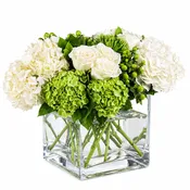 Salt Creek Cube