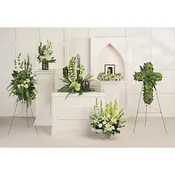 Teleflora's Tranquil Peace Collection