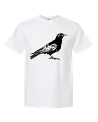 CROW