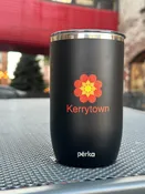 13 oz Double Wall Stainless Tumbler