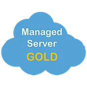 Server Support - Gold