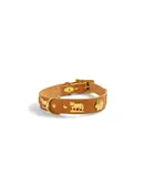 Small Traditional Dog Collar