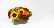 happy Harvest Garden box
