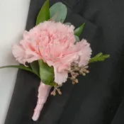 Carnation Boutonniere