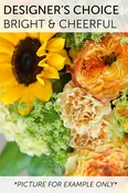 Designer's Choice - Bright and Cheerful