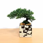 Puzzle Square Vase Black/White 3″ With Bonsai Tree