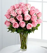 12, 18 OR 24 CLASSIC PINK ROSES