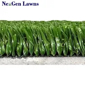 NGL Arena with 5mm Foam Pad