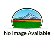 Ryegrass – Annual
