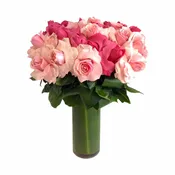 Blushing Roses
