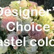 Designer's Choice Pastel Edition