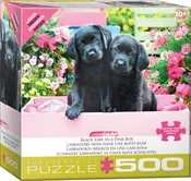 500 pc - Large Puzzle Pieces - Black Labs in Pink Box