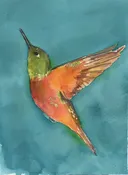Intro to Watercolor - Hummingbird - March 8th 10am-1pm — Silverton Arts Association