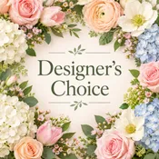 Designers Choice $100