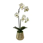 [HUXL-ORGRD] Gold Metal Hammered Vase Large - White & Green Double Orchid Artificial