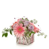 Ballerina TMF14-270