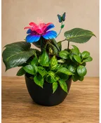 TROPICAL GLOW DISH GARDEN