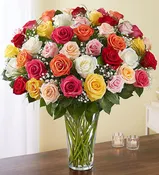 4 Dozen Prettiest Roses – Designer Choice