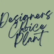 Designers Choice Plant