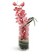 Peaceful Pink Orchids