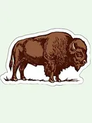 Bison Die Cut Sticker