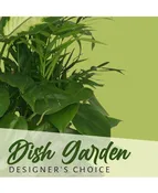 DISH GARDEN