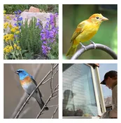 Creating a Bird Friendly Space - Great Salt Lake Audubon - Midvale Cactus & Tropicals Workshop — Cactus & Tropicals